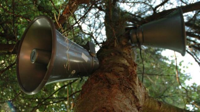Sound art work - two metal speaker cones up a tree